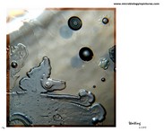 waiting bacterial colonies